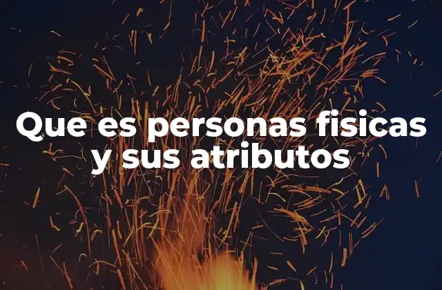 Que es Personas Fisicas y Sus Atributos