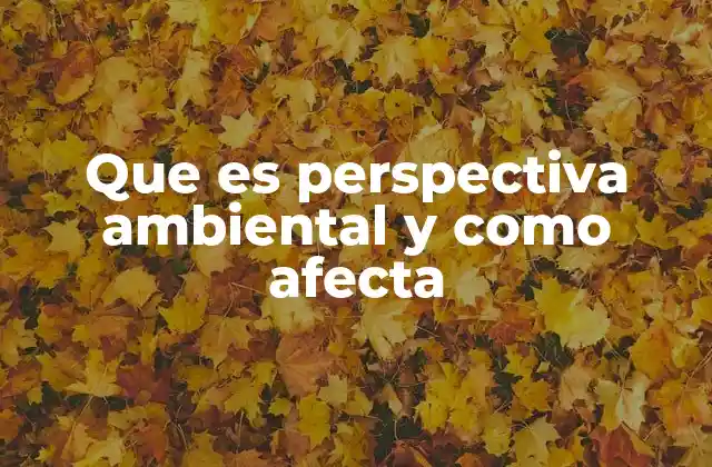 Que es Perspectiva Ambiental y como Afecta