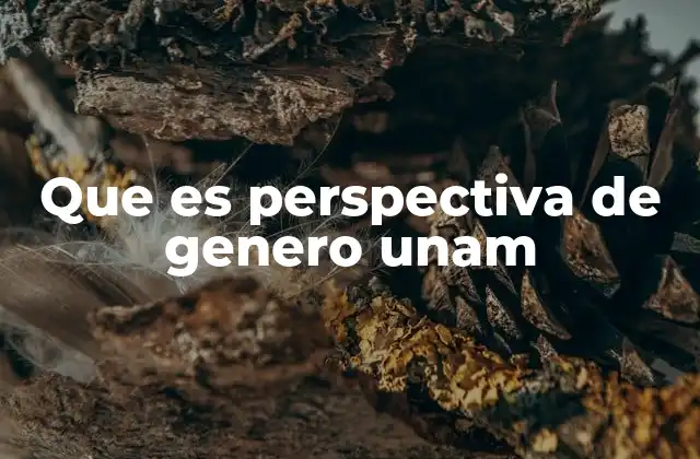 Que es Perspectiva de Genero Unam