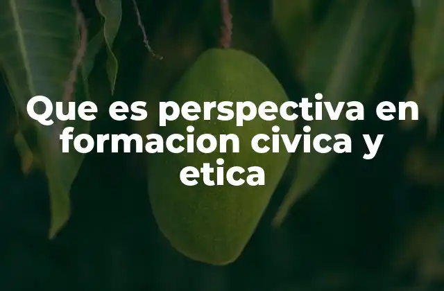 Que es Perspectiva en Formacion Civica y Etica