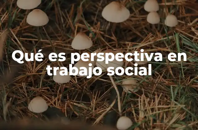 Qué es Perspectiva en Trabajo Social