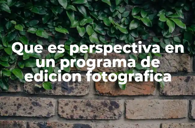 Que es Perspectiva en un Programa de Edicion Fotografica