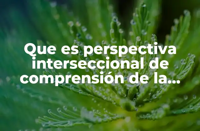 Que es Perspectiva Interseccional de Comprensión de la Violencia