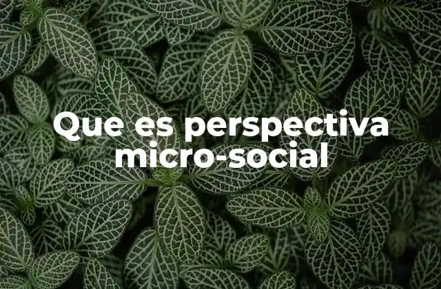 Que es Perspectiva Micro-social