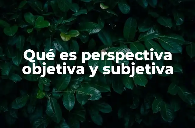 Qué es Perspectiva Objetiva y Subjetiva