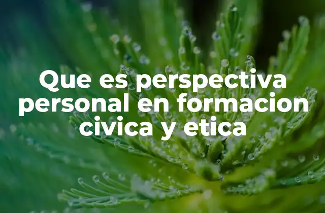 Que es Perspectiva Personal en Formacion Civica y Etica