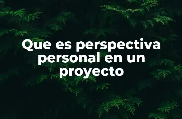 Que es Perspectiva Personal en un Proyecto