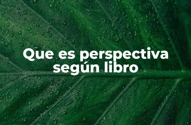 Que es Perspectiva según Libro