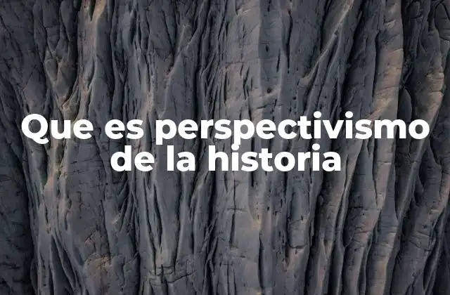 Que es Perspectivismo de la Historia