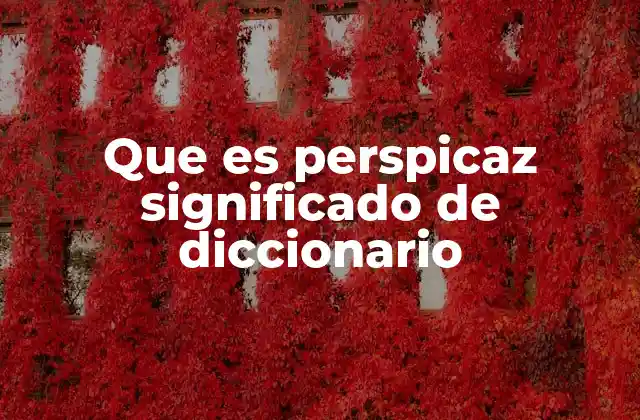 Que es Perspicaz Significado de Diccionario