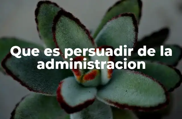 Que es Persuadir de la Administracion