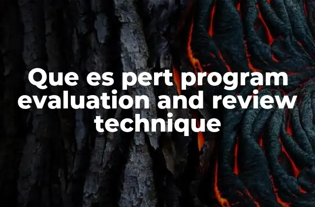 Que es Pert Program Evaluation And Review Technique