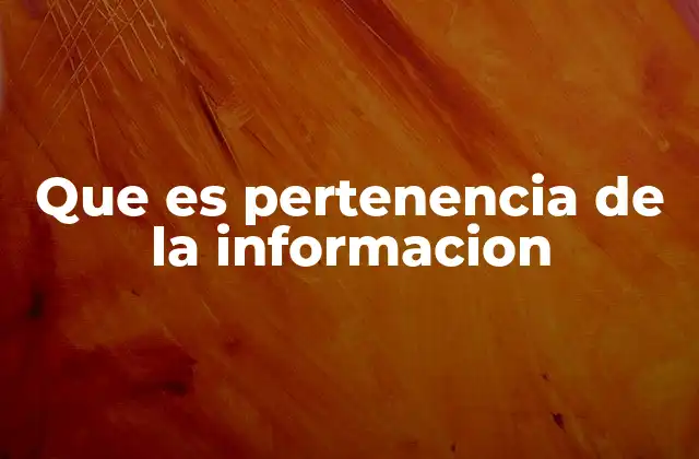 Que es Pertenencia de la Informacion