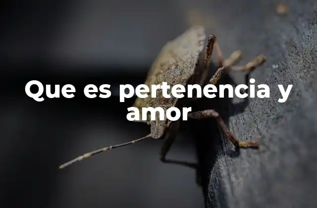 La conexión emocional entre el ser humano y su entorno