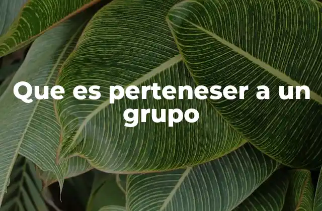 Que es Perteneser a un Grupo