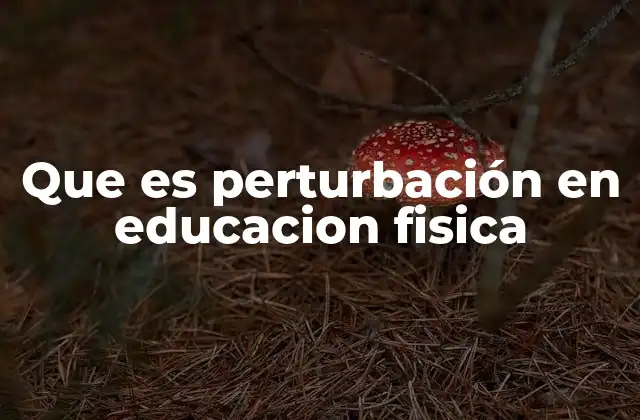 Que es Perturbación en Educacion Fisica