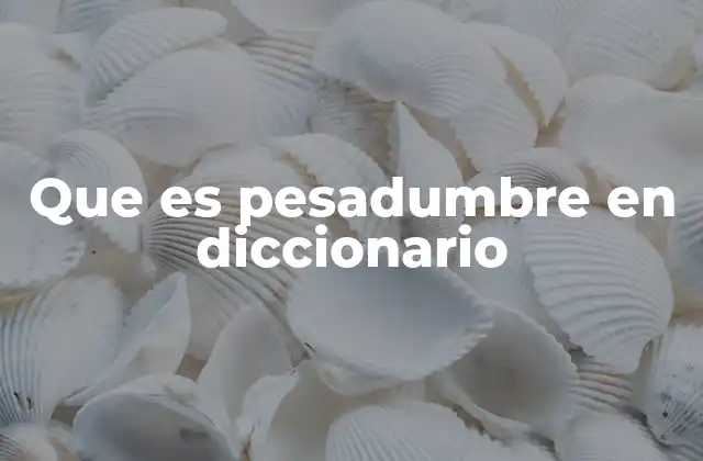 Que es Pesadumbre en Diccionario