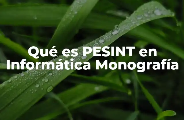 Qué es Pesint en Informática Monografía