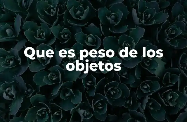 Que es Peso de los Objetos