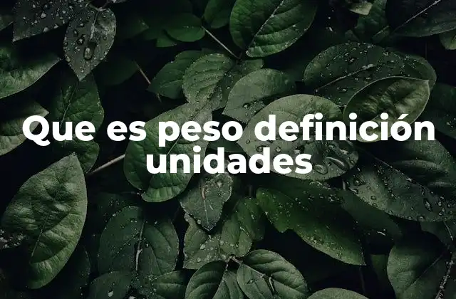 Que es Peso Definición Unidades