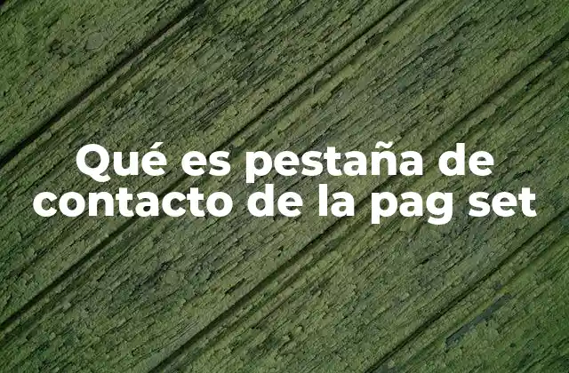 Qué es Pestaña de Contacto de la Pag Set