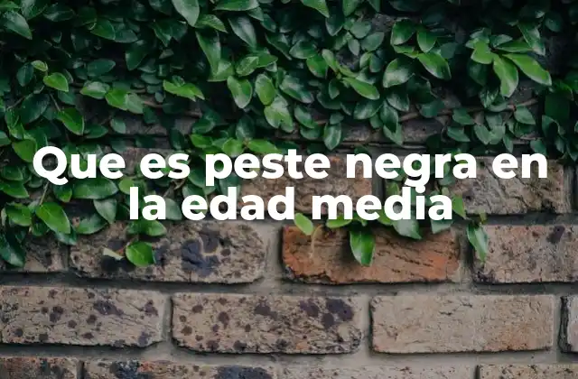 Que es Peste Negra en la Edad Media