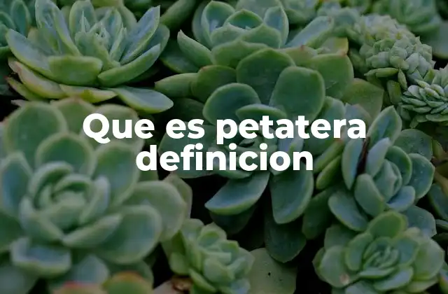 Que es Petatera Definicion