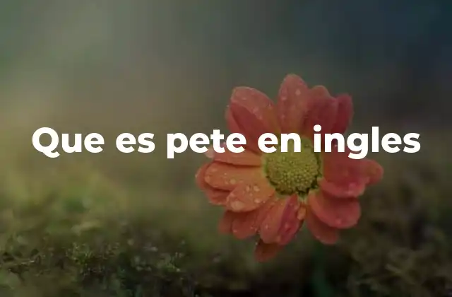 Que es Pete en Ingles
