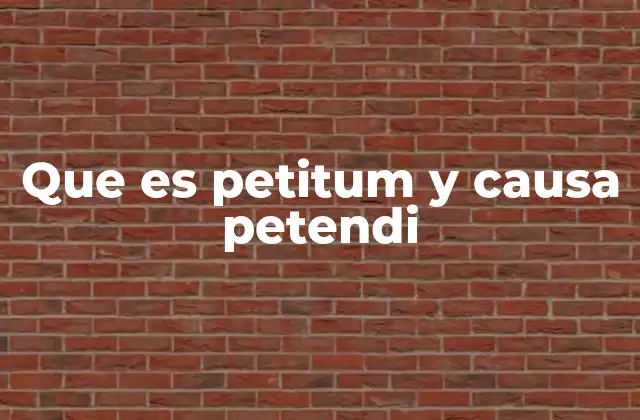 Que es Petitum y Causa Petendi