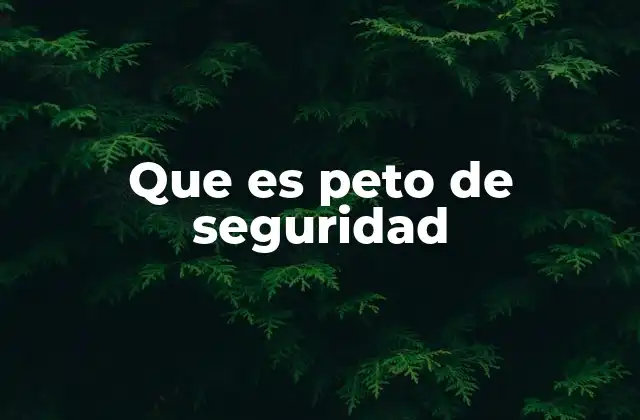 Que es Peto de Seguridad