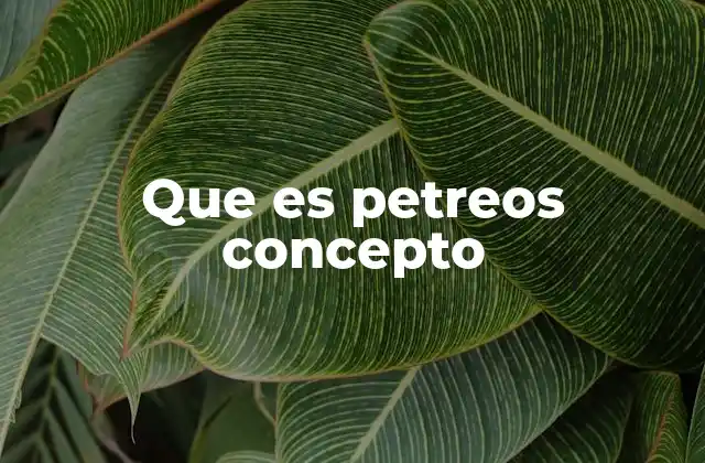 El uso de petreos en el lenguaje coloquial