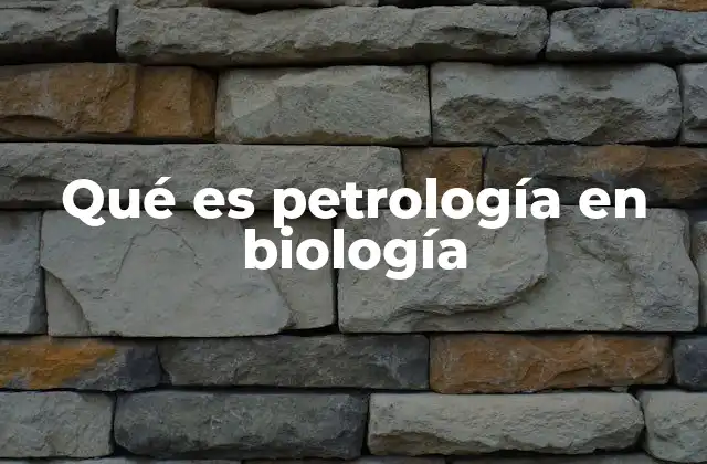 Qué es Petrología en Biología
