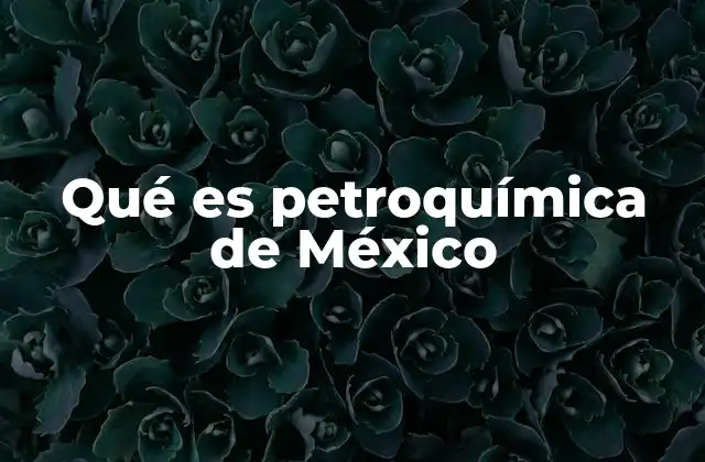 Qué es Petroquímica de México