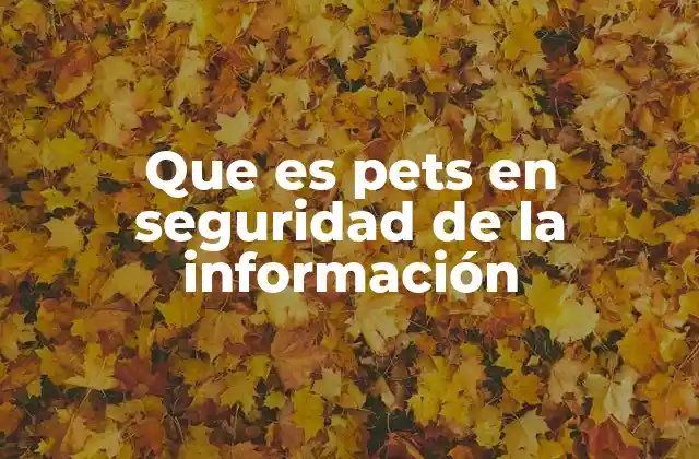Que es Pets en Seguridad de la Información