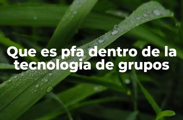 Que es Pfa Dentro de la Tecnologia de Grupos