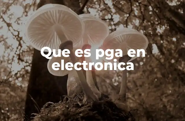 Que es Pga en Electronica
