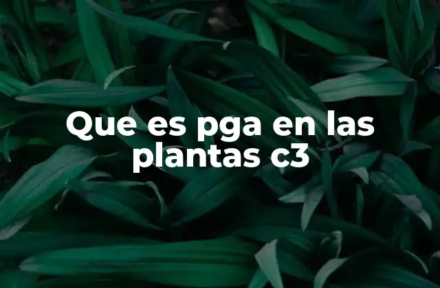 Que es Pga en las Plantas C3