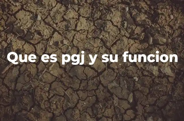Que es Pgj y Su Funcion