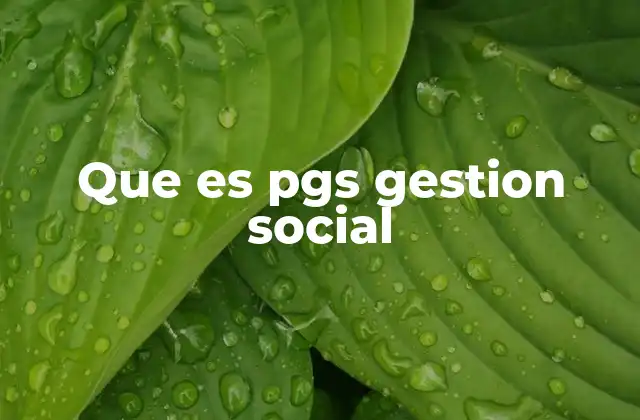 Que es Pgs Gestion Social