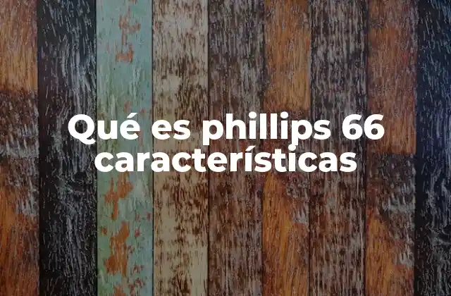 Qué es Phillips 66 Características