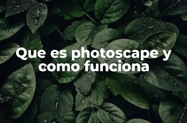 Que es Photoscape y como Funciona