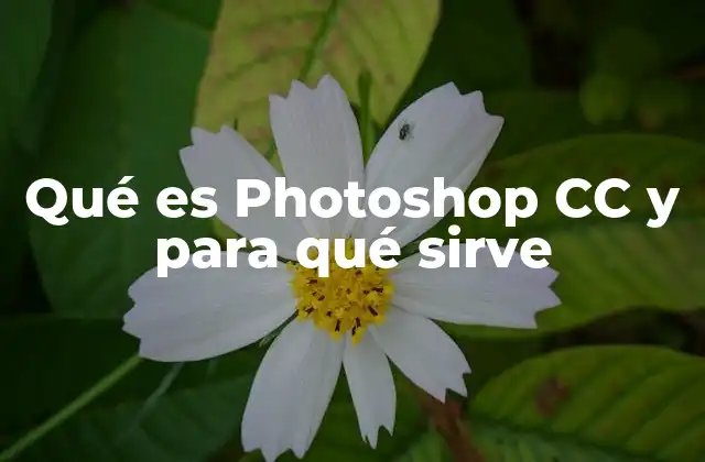 Herramientas esenciales que hacen único a Photoshop CC