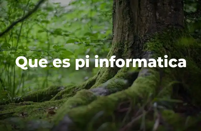 Que es Pi Informatica