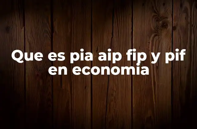 Que es Pia Aip Fip y Pif en Economia