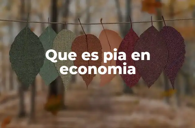 Que es Pia en Economia