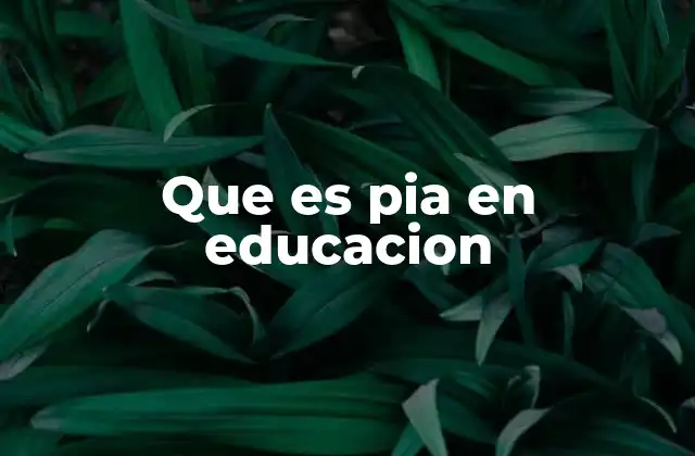 Que es Pia en Educacion