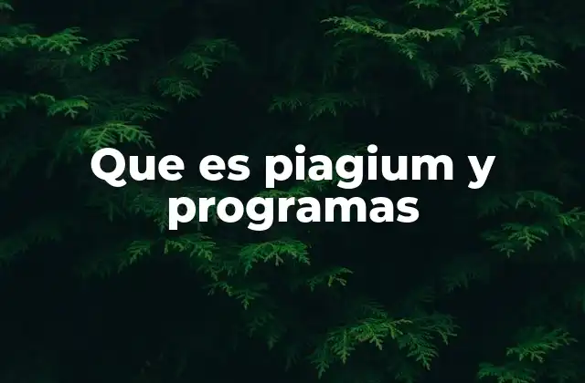 Que es Piagium y Programas