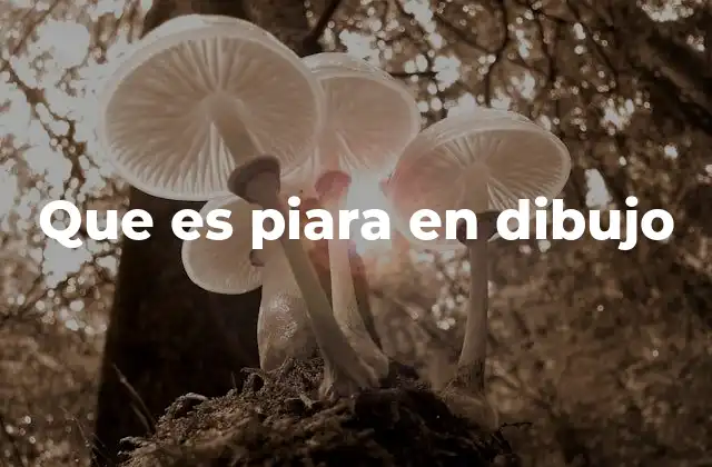 Que es Piara en Dibujo