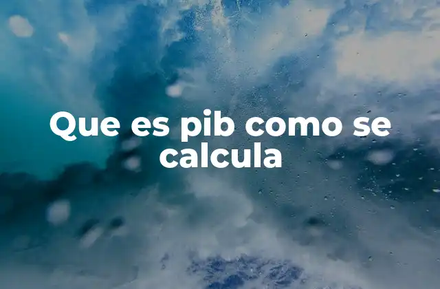 Que es Pib como Se Calcula