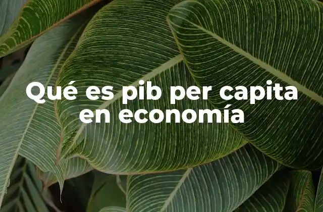 El PIB per cápita como reflejo del desarrollo económico
